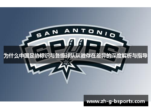 为什么中国足协标识与各级球队队徽存在差异的深度解析与指导