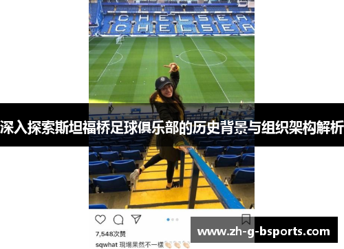 深入探索斯坦福桥足球俱乐部的历史背景与组织架构解析