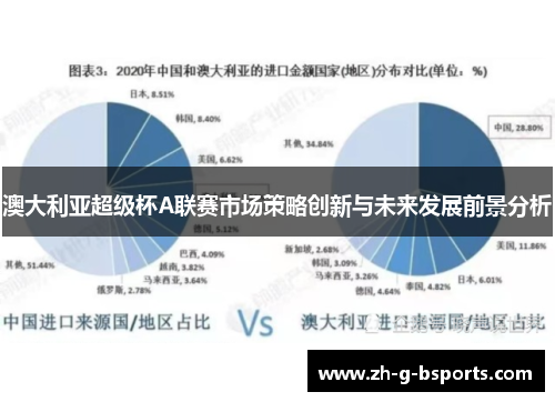 澳大利亚超级杯A联赛市场策略创新与未来发展前景分析